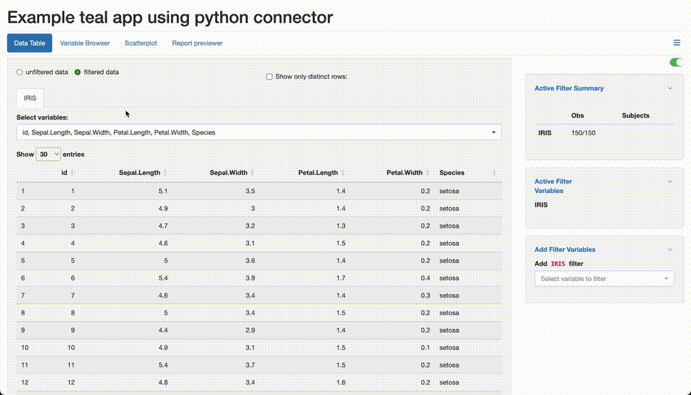 Animation of the python app